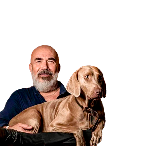 Andrés Meza - avatar